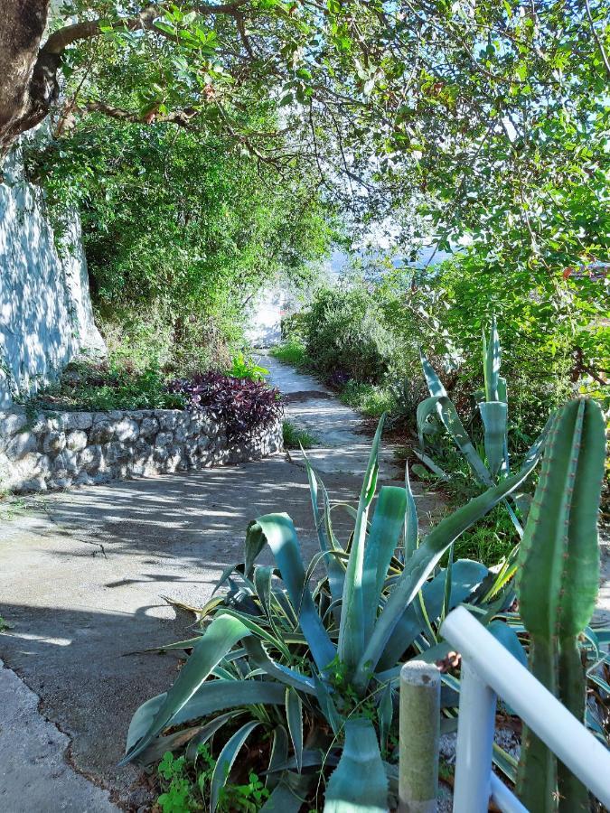 Adriabay Studio Tivat Exterior foto